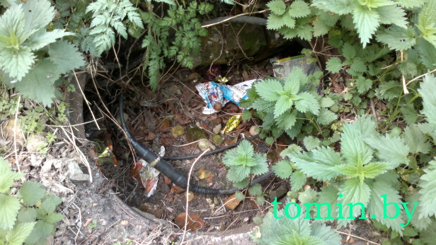 Брестская крепость: шаг в сторону – и ты в ловушке (фото)