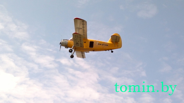 Брест, 2 августа: под знаком Сил специальных операций (фото) Брест, 2 августа: под знаком Сил специальных операций (фото)