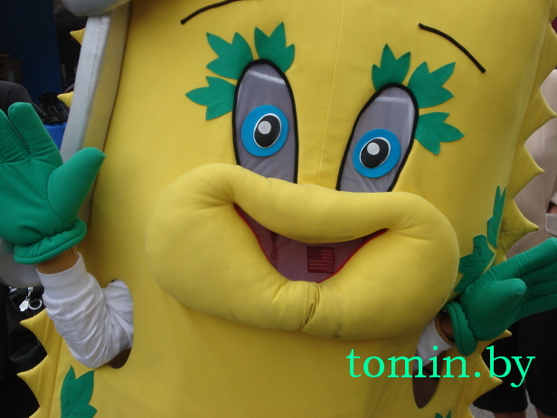 Брестчина: "Дожинки-2012" в Каменце. Фото Тамары ТИБОРОВСКОЙ Брестчина: "Дожинки-2012" в Каменце. Фото Тамары ТИБОРОВСКОЙ