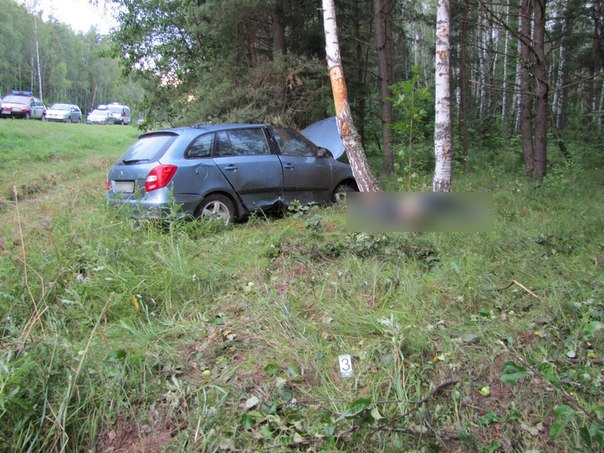 В Кореличском районе «Шкода» врезалась в дерево: погиб муж водительницы, которого выбросило из салона - фото