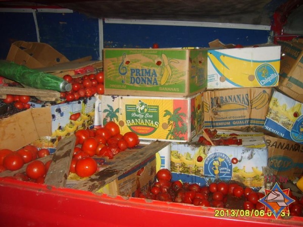 В Дрогичинском районе микроавтобус «Мерседес» с овощами съехал в кювет – фото
