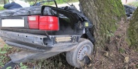 В Свислочском районе «Ауди» потеряла управление и столкнулась с деревом: водитель погиб, его брат – в больнице - фото