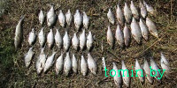 Житель Лоевского района уплатит почти Br8 млн за незаконный лов рыбы на приграничной территории - фото