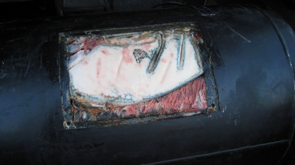 Житель Брестской области пытался ввезти в Беларусь центнер мяса в газовом баллоне - фото