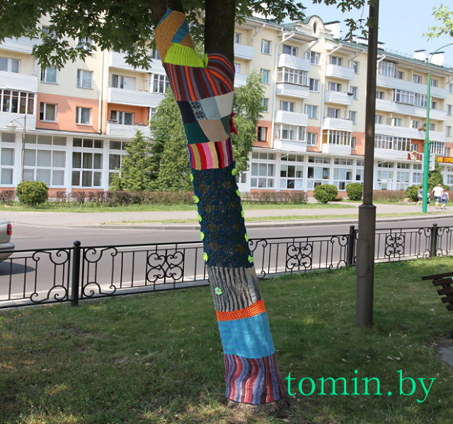 В Бресте впервые отметили Всемирный день вязания на публике - фото В Бресте впервые отметили Всемирный день вязания на публике - фото