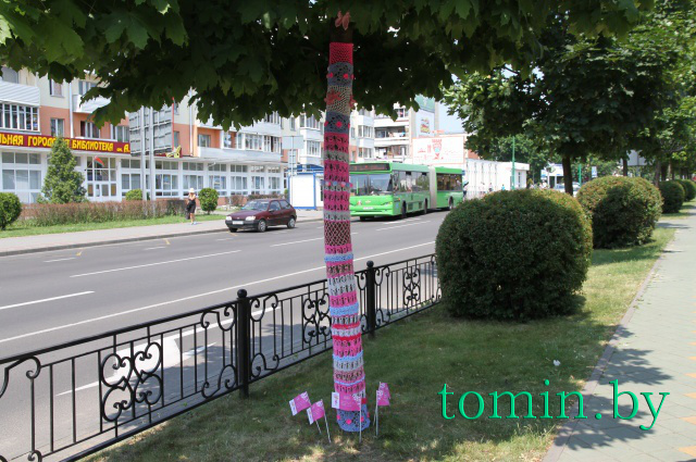 В Бресте впервые отметили Всемирный день вязания на публике - фото В Бресте впервые отметили Всемирный день вязания на публике - фото