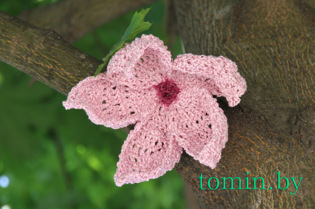 В Бресте впервые отметили Всемирный день вязания на публике - фото В Бресте впервые отметили Всемирный день вязания на публике - фото