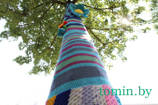 В Бресте впервые отметили Всемирный день вязания на публике - фото В Бресте впервые отметили Всемирный день вязания на публике - фото