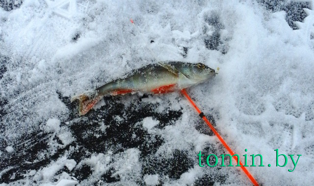 Зимняя рыбалка - фото Зимняя рыбалка - фото