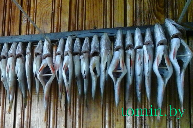 Таранка - фото Таранка - фото