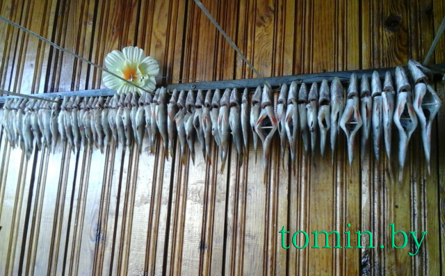 Таранка - фото Таранка - фото