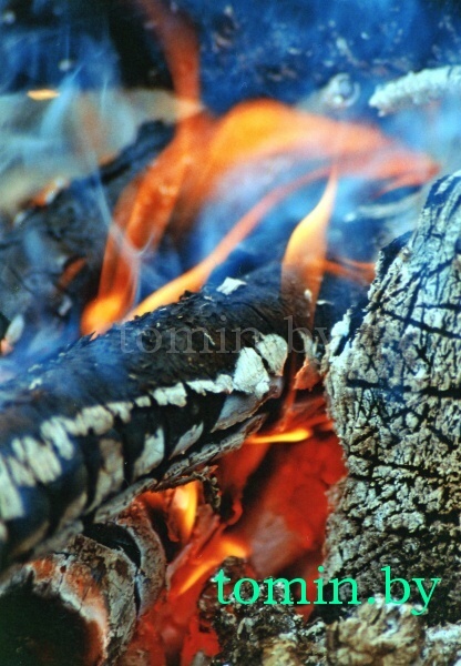 Валентин Ежелов. Фотоэтюд Валентин Ежелов. Фотоэтюд