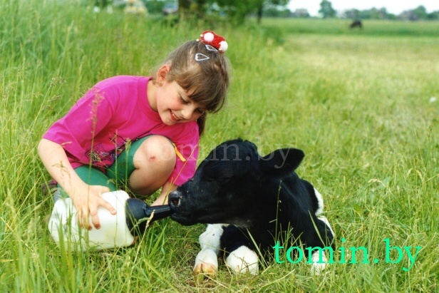 Валентин Ежелов. Начало Валентин Ежелов. Начало