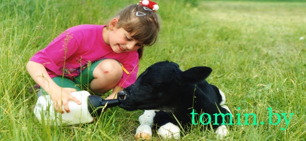 "Жизнь прекрасна!" - фотоэтюды Валентина Ежелова "Жизнь прекрасна!" - фотоэтюды Валентина Ежелова